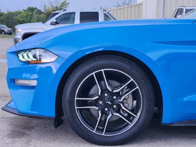 2022 Ford Mustang EcoBoost